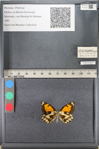 Media type: image;   Entomology 140137